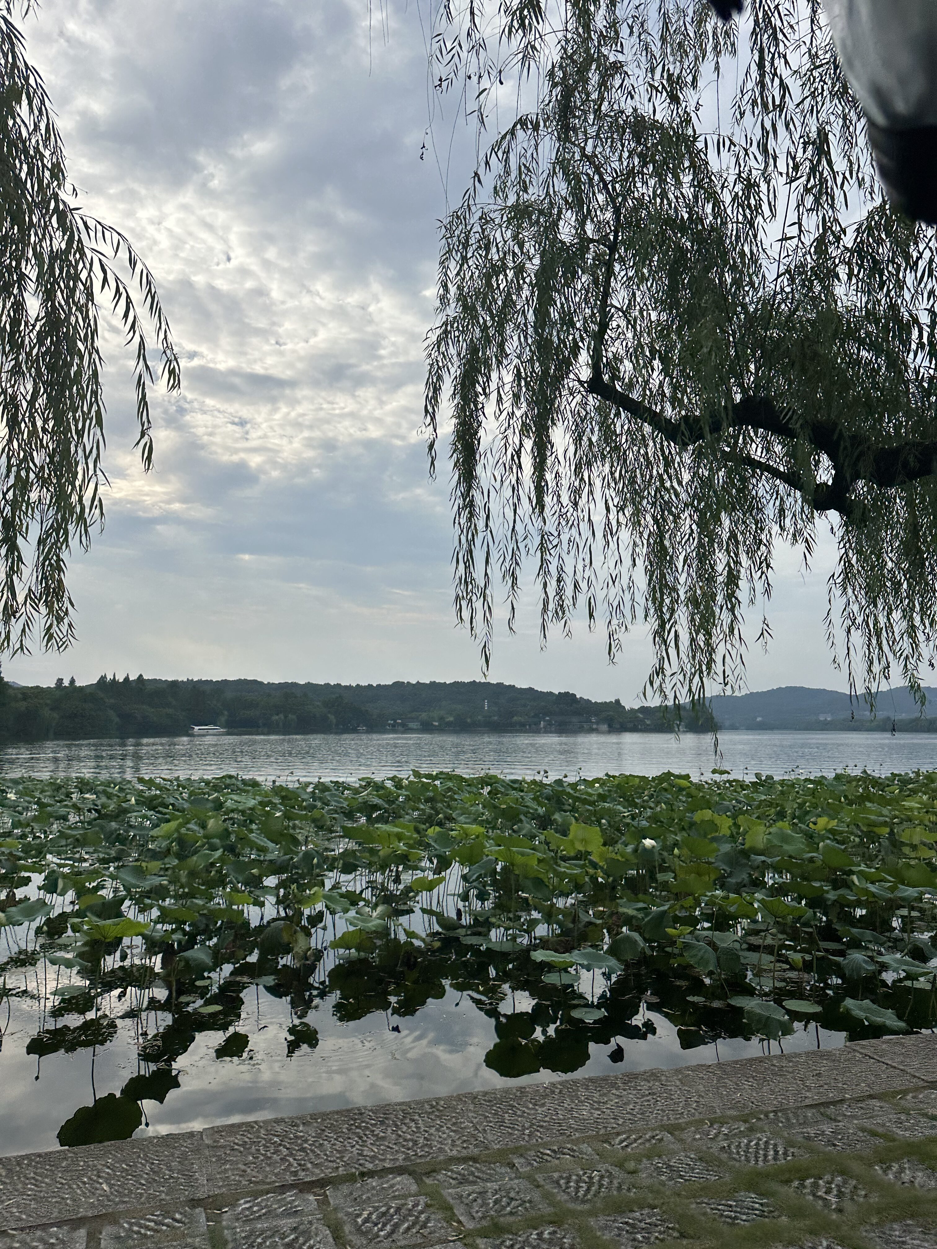 west-lake-2